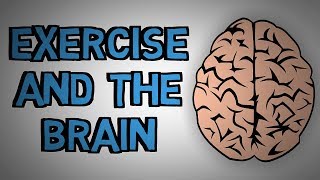 How Exercise Benefits Your Brain - Exercise and The Brain (animated)