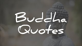 17 Buddha Quotes (For A Better Life)
