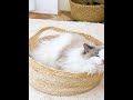 【1057】猫窝藤编夏季编织凉窝四季通用网红不沾毛夏天狗窝猫咪床宠物用品