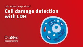 Lab values explained no. 6: LDH