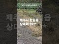 바다조망 제주도 땅 파라요 6500만원 제주도부동산 제주여행 제주바다