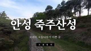 FPV 레이싱드론으로 만나는 안성 죽주산성/오래된 오동나무가 반겨주는 곳