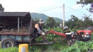 시골 비닐하우스 (Farm Work) - Mr Gwon Time