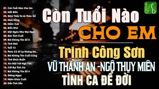 Ngô Thụy Miên, Trịnh Công Sơn, Vũ Thành An | Bộ Tam Tình Khúc Bất Hủ Vượt Thời Gian Nghe Là Say Đắm