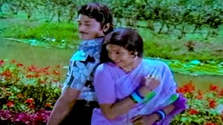 Murali Mohan, Sujatha Evergreen Superhit Song - Asha Jyothi Movie Songs | Telugu Movie Video Songs