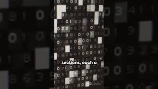 PcBBB2N83ks