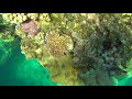 Snorkeling Yasawa Islands, Fiji