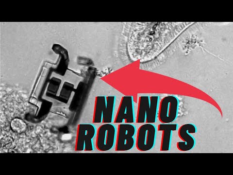 How big are the smallest nanobots?