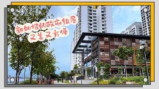 新加坡新型政府组屋又美又方便，和99年的公寓有啥区别呢？（20220917）