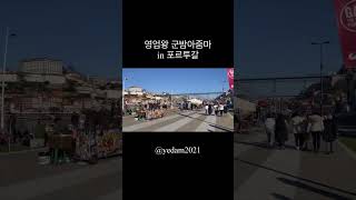 군밤 안사고는 못배길걸? _포르투 #유럽여행 #포르투갈 #호주유학생