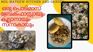 Jackfruit seed recipes ചക്കക്കുരു പൊടി മാസ്സ് !! Jackfruit seed breakfast, lunch and dinner