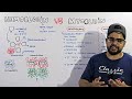 hemoglobin and myoglobin structure composition similarities and differences