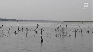 Batticaloa River