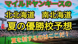 【北海道】夏の甲子園出場校予想【2021年】