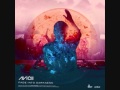Fade Into Waves (Delairon Mashup) - Avicii vs Steerner