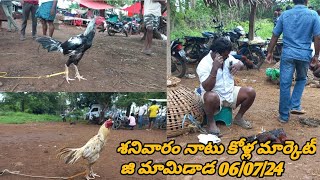 Saturday Nattukolla || శనివారం నాటు కోళ్ల మార్కెట్ జిమావిడాడ# Kollamarket #birds 6 July 2024