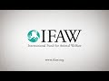 ifaw