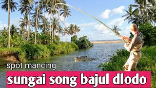 SONG BAJUL‼️ pantai dlodo