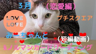 みーちゃんとﾙノルマンカードリーディング❗️（短編動画）🌈（恋愛編♥️）プチ、スクエア！３月、二人の恋の行方！👩‍❤️‍👨