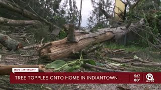 Trees crash onto Indiantown home during Hurricane Ian
