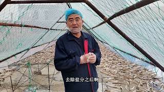 渔民老海晒鱼干，晒到六七成干，为了方便能储存更长时间。