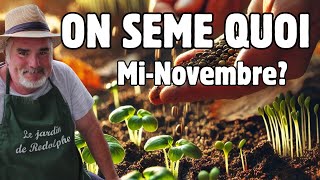 Les 10 meilleurs légumes à semer mi-novembre même par temps froid .