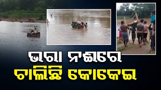 ଭରା ନଈରେ ଚାଲିଛି କୋକେଇ     | Odisha Reporter