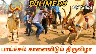 புலிமேடு💥 பாய்ச்சல் காளைவிடும் திருவிழா 💥19/1/2024 👿 அட்டகாசம் 💔#trending#eruthukattu #pulimedu