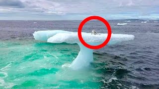 Fishermen Think They Found a Seal on a Floating Iceberg Until They Got a Closer Look