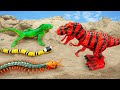 T-Rex dinosaur family unite against snakes, centipedes, lizards - Toy for kids | ToyTV khủng long