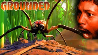 INSECTS HORROR GAME (yes, spiders too) | Grounded Gameplay