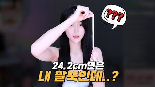 240으로 키,몸무게,xx 분배하기!