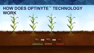 Nitrogen Management with N-Serve