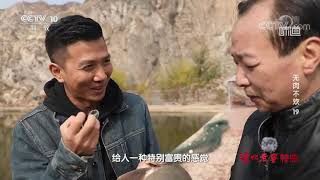 兰州版红烧黄河大鲤鱼 《味道》无肉不欢 EP19 | 美食中国 Tasty China