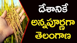 దేశానికే అన్న‌పూర్ణ‌గా తెలంగాణ | World Food Security Day | TEL TV