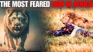 THE MOST FEARED LION IN AFRICA