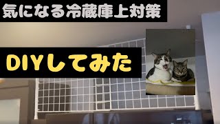 【DIY】猫VS人間　冷蔵庫上対策の激闘！！！