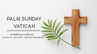 PALM SUNDAY SERVICE VATICAN  | ഓശാന ഞായർ വത്തിക്കാനിലെ   തിരുകർമ്മങ്ങൾ