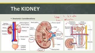 BIOPHARM FINALS (1/2)