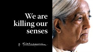 We are killing our senses | Krishnamurti