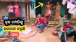 ଘରେ ସାପ ବୃଦ୍ଧ ଦମ୍ପତି ହଇରାଣ.Snake rescue from old couples house.Odisha snake saver.