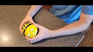 Intro to bee bot robot