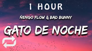 [1 HOUR 🕐 ] Ñengo Flow & Bad Bunny - Gato de Noche (Letra/Lyrics)