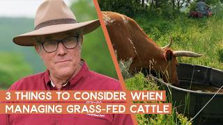 Maximize Hay Production with These Grass-Fed Cattle Tips