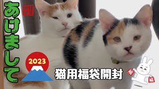 【新年】あけましておめでとう！初めての福袋を貰って大満足な猫達