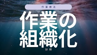 作業の組織化の分析をしよう！