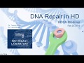 WEBINAR: DNA Repair in Huntington's Disease