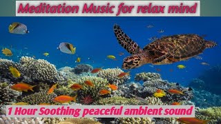 Underwater Ambience, Deep Relaxing Music, Sleeping Music, Meditation Music