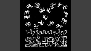 Seahorse