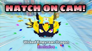 OMG! Hatching Secret Exclusive Wicked Empyrean Dragon in Pet Simulator X